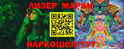 гашик Донской