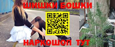 гашик Донской
