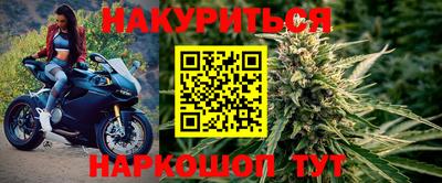 гашик Донской