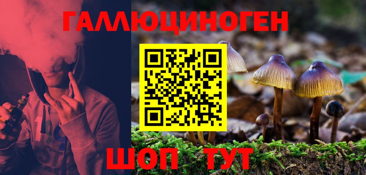 закладка  Вход с VPN  Люберцы  Галлюциногенные грибы мухоморы 