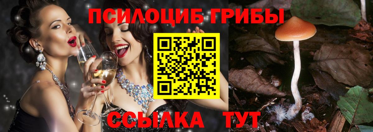 Галлюциногенные грибы прущие грибы Люберцы
